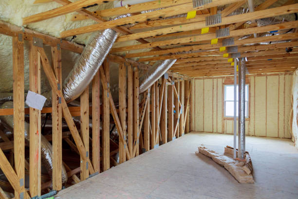 Best Insulation Maintenance and Repair in Hanna City, IL