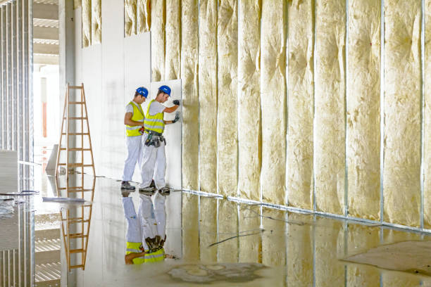 Best Types of Insulation in Hanna City, IL